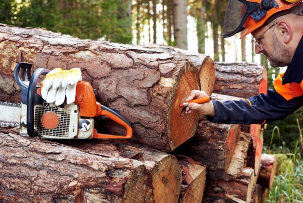 tree stump grinder