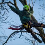 Top Reasons to Use Professional Pruning Services Near Me