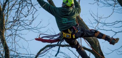 Professional Pruning Services