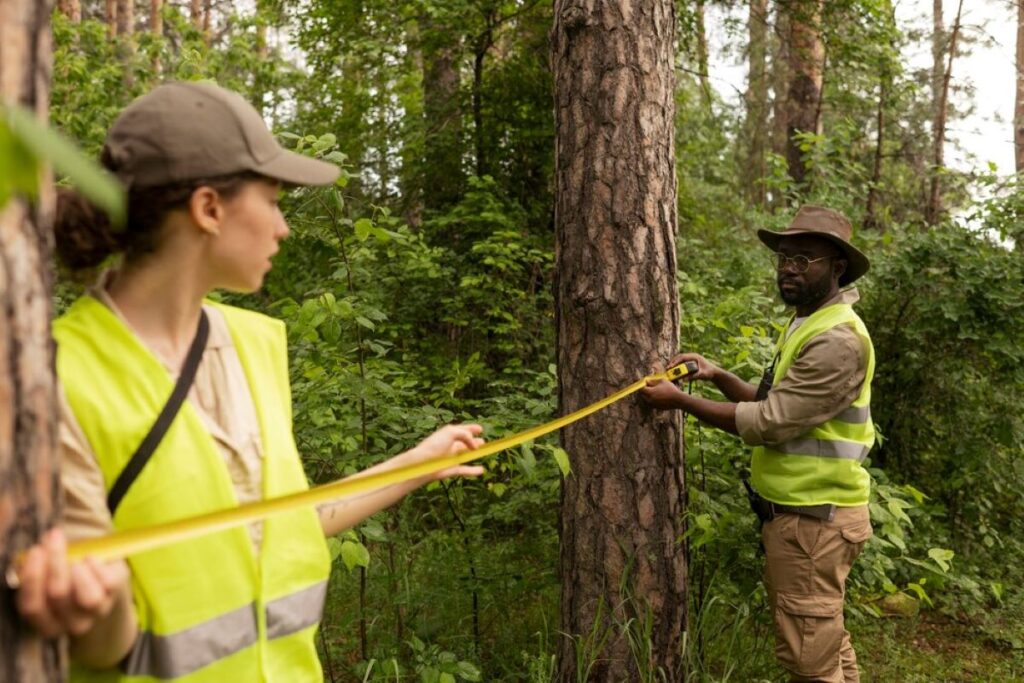 Fruit Tree Pruning Near Me: How Communities Preserve Food Heritage