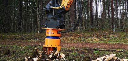 same day stump grinding