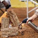 Professional Stump Grinding: Essential Insights and Considerations