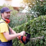 Booking a Quality Hedge Trimming Service for a Tidy Garden
