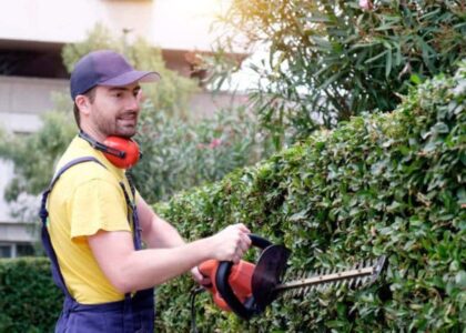 Hedge Trimming Service