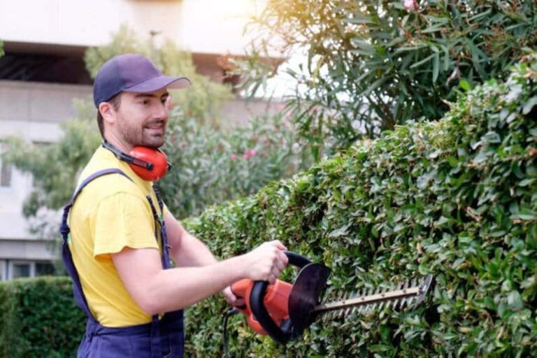 Booking a Quality Hedge Trimming Service for a Tidy Garden