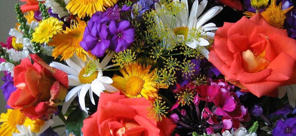 florist Lavender Bay