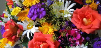 florist Lavender Bay