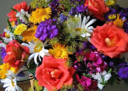 florist Lavender Bay