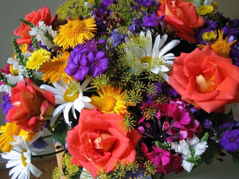 A Local Guide to Finding a Florist in Lavender Bay